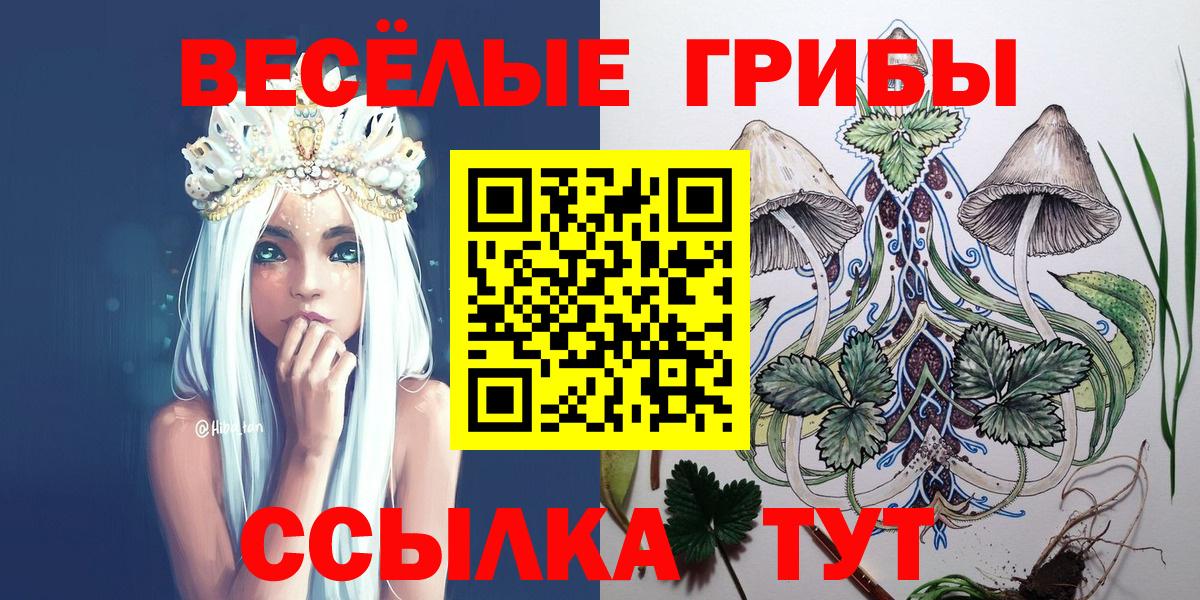 Галлюциногенные грибы ЛСД  Вход с VPN  закладки  Горячий Ключ 